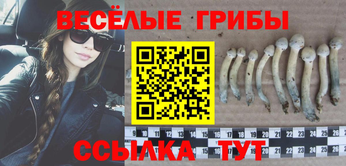 Галлюциногенные грибы Psilocybe Белая Калитва
