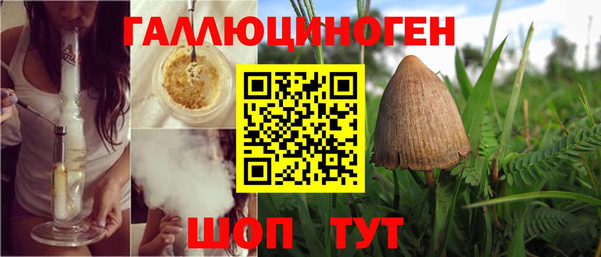 Белая Калитва  Псилоцибиновые грибы мухоморы  Вход с VPN 